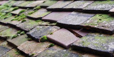 Souldrop roof repair costs